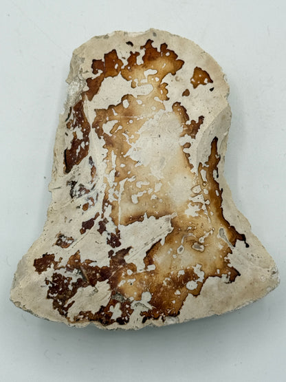 Dansk Stenalder. Asymmetrisk skiveøkse i flint. Sen Ertebølletid: 4500-3900 F.Kr