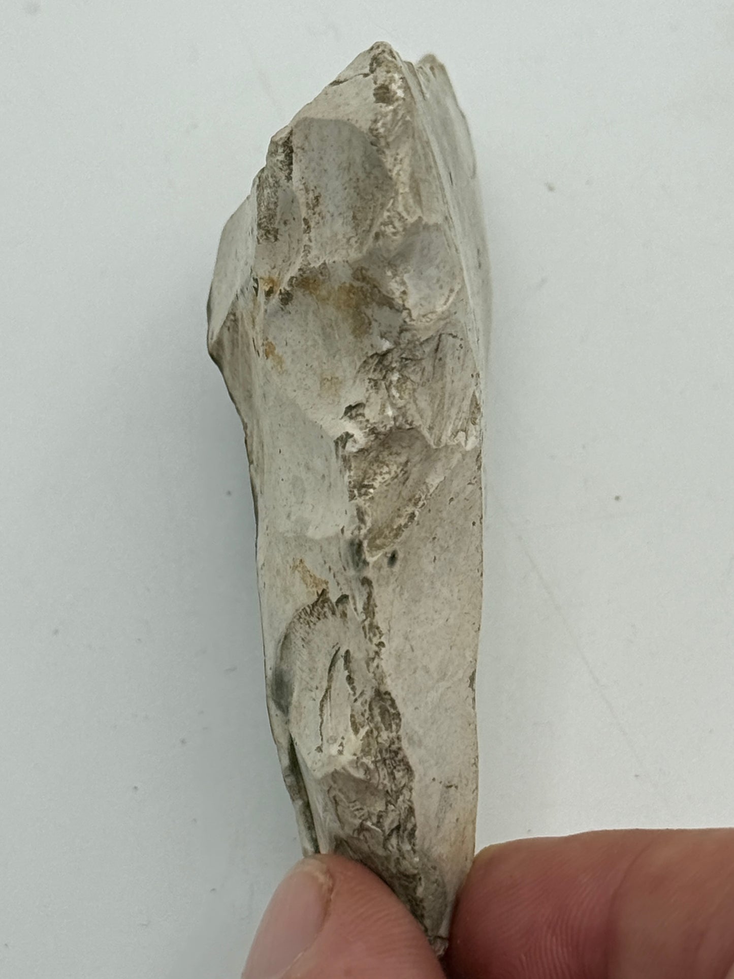 Dansk Stenalder. Asymmetrisk skiveøkse i flint. Sen Ertebølletid: 4500-3900 F.Kr