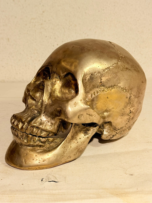 Vintage metal menneske kranie (Cranium homo sapiens)