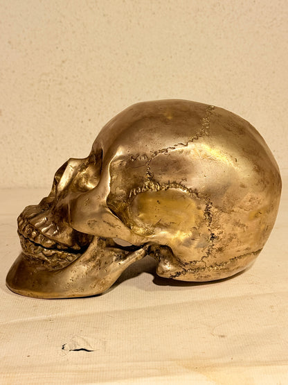 Vintage metal menneske kranie (Cranium homo sapiens)