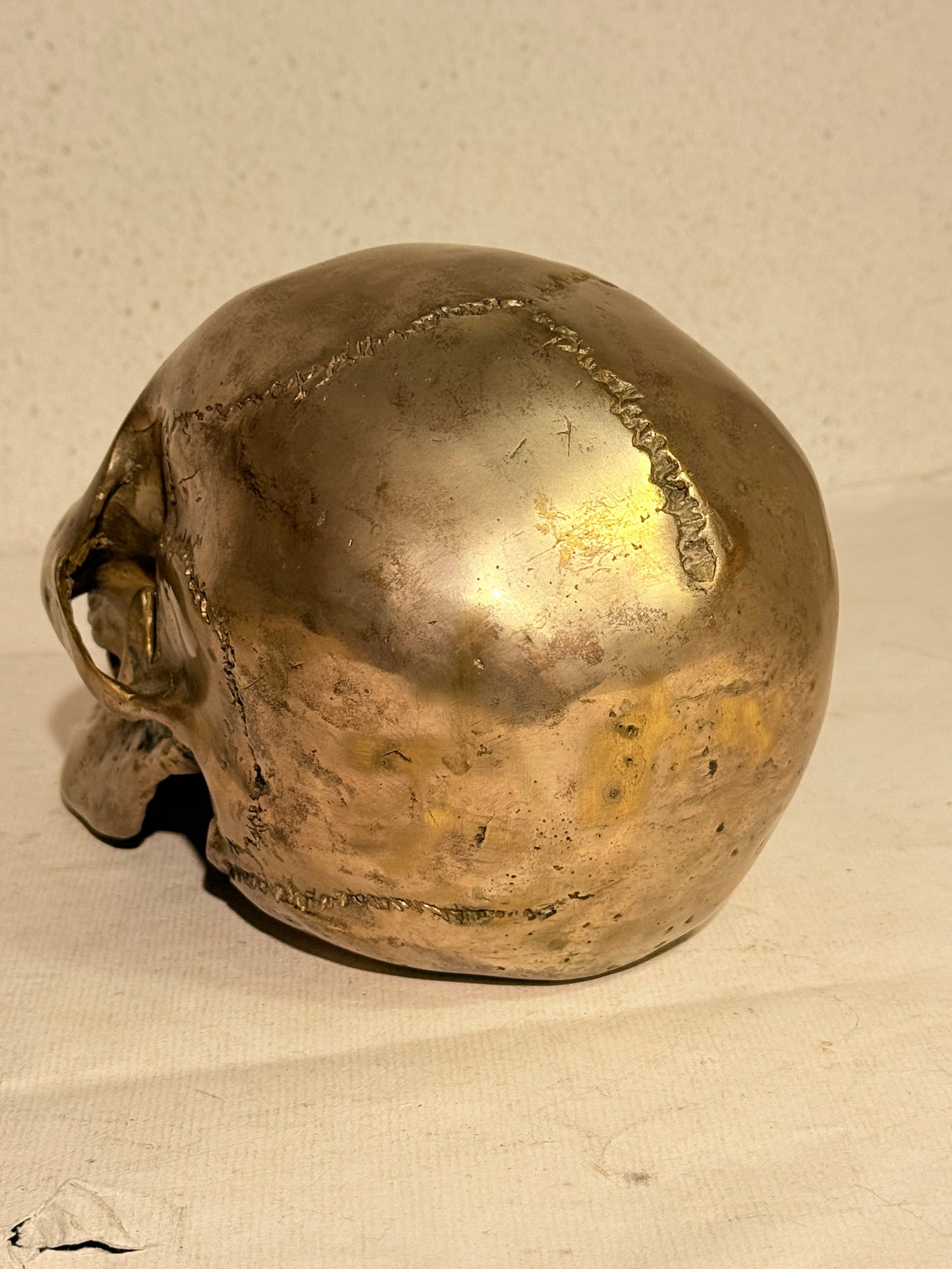 Vintage metal menneske kranie (Cranium homo sapiens)