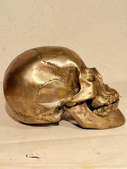 Vintage metal menneske kranie (Cranium homo sapiens)