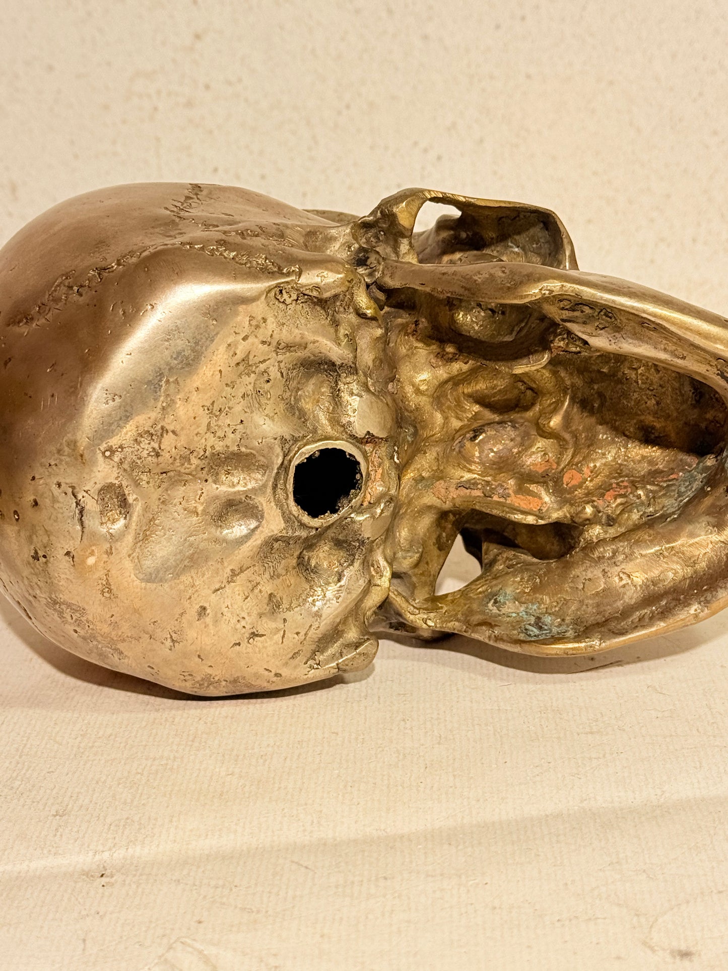 Vintage metal menneske kranie (Cranium homo sapiens)