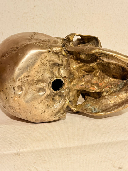 Vintage metal menneske kranie (Cranium homo sapiens)