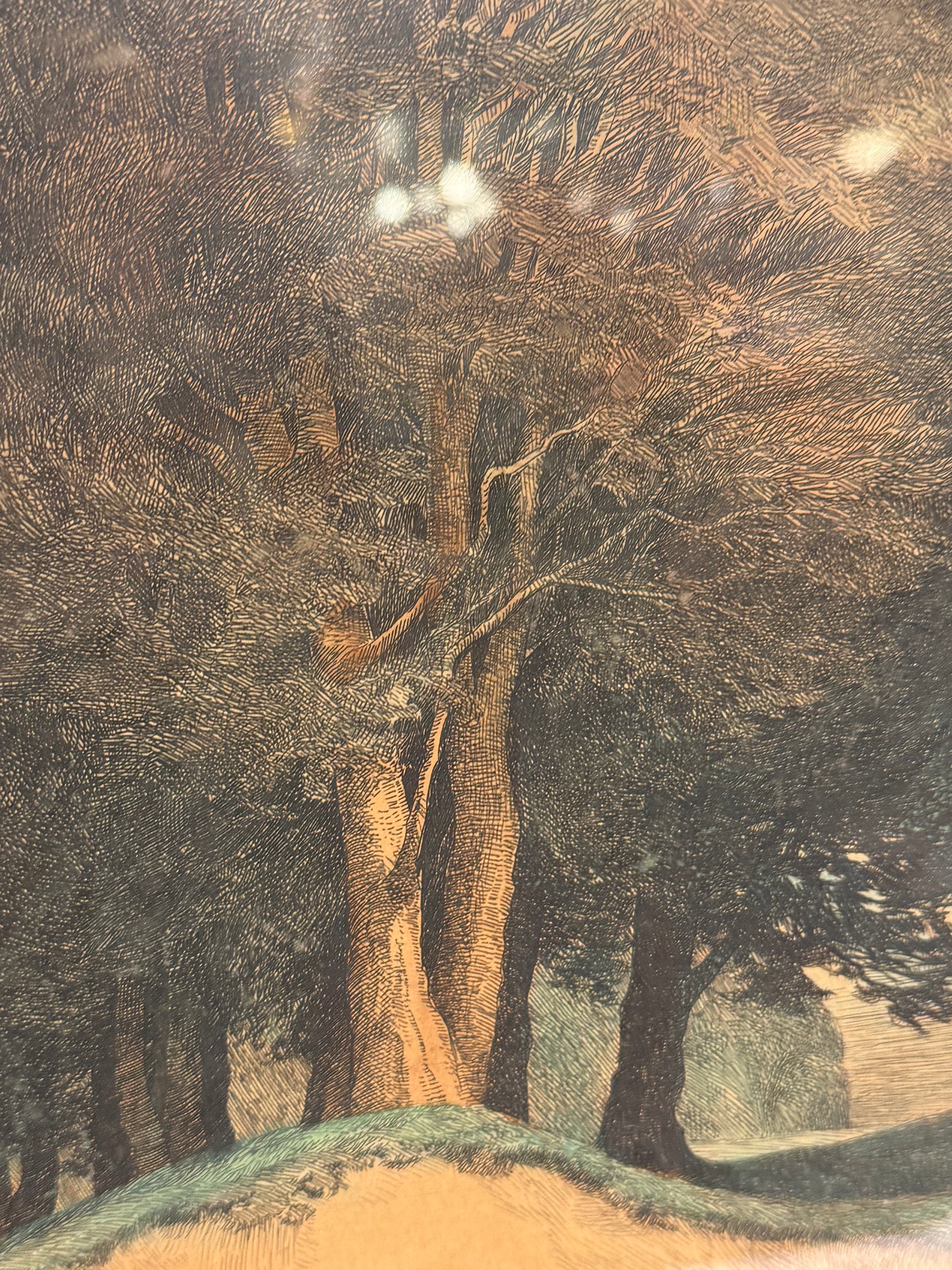 Axel Holm (born 1861-1935.) Colored etching of forest scenery. From 1906.