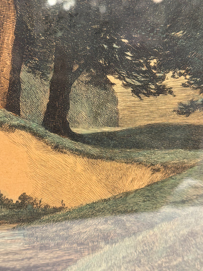 Axel Holm (born 1861-1935.) Colored etching of forest scenery. From 1906.