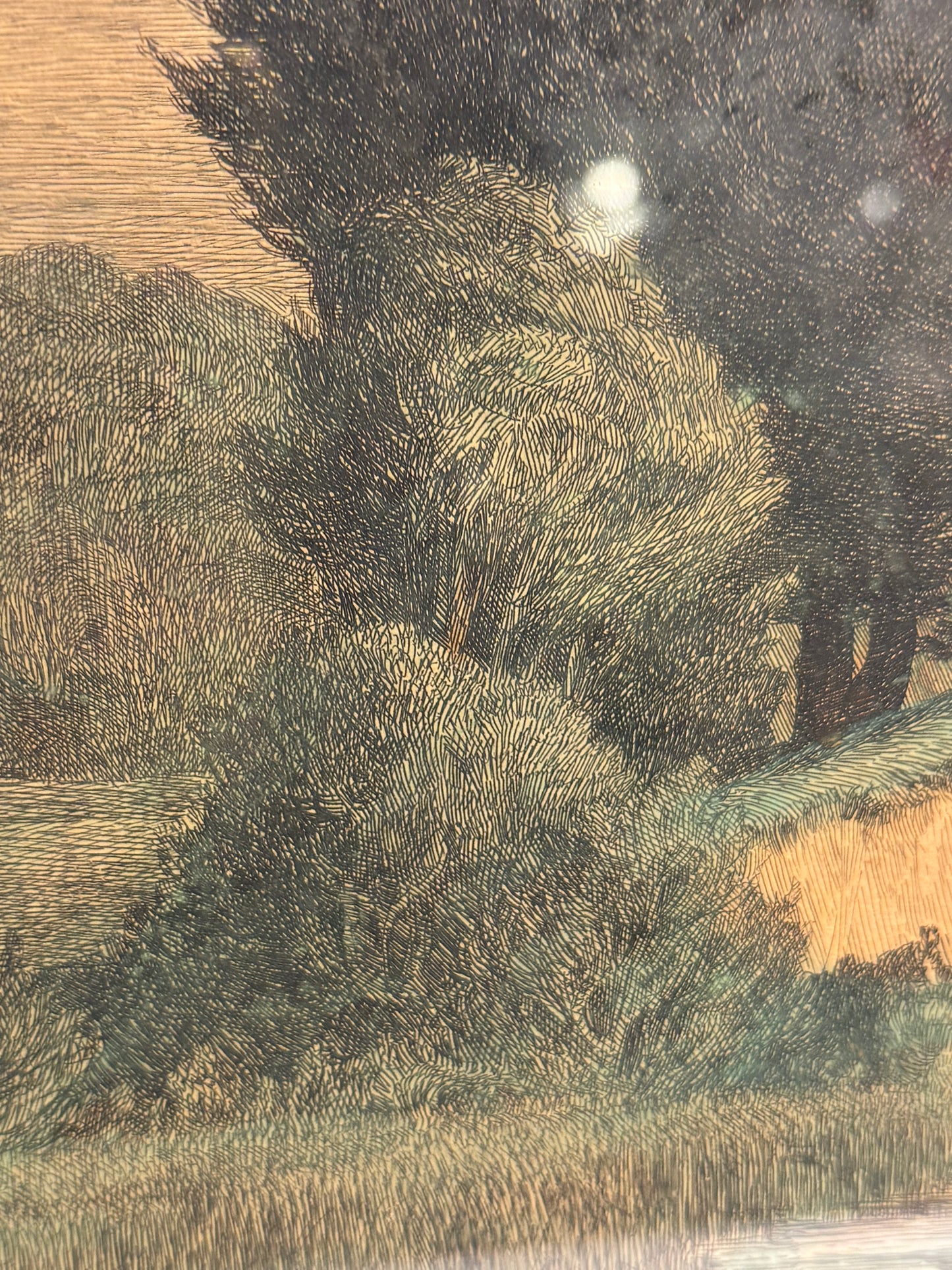 Axel Holm (born 1861-1935.) Colored etching of forest scenery. From 1906.