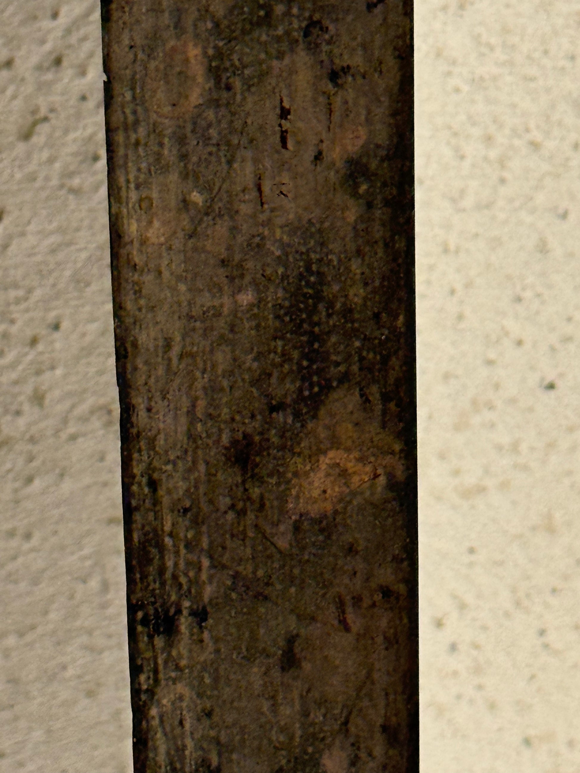 Dansk Vest indisk militær Hirschfænger Model 1830