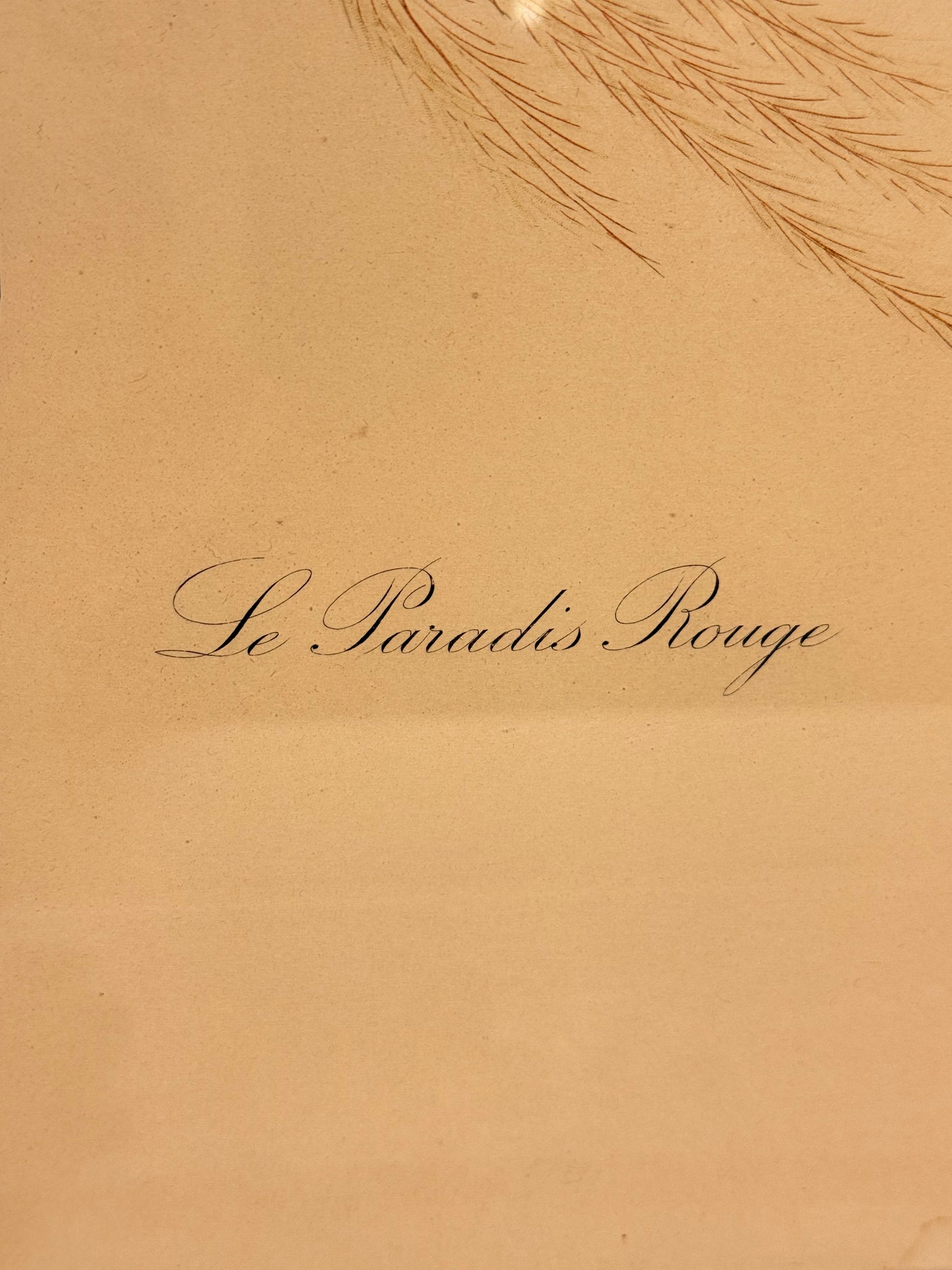 Le Paradis Rouge. Antique French copper engraving from the 19th century
