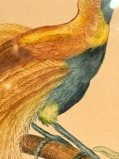 Le Paradis Rouge. Antique French copper engraving from the 19th century