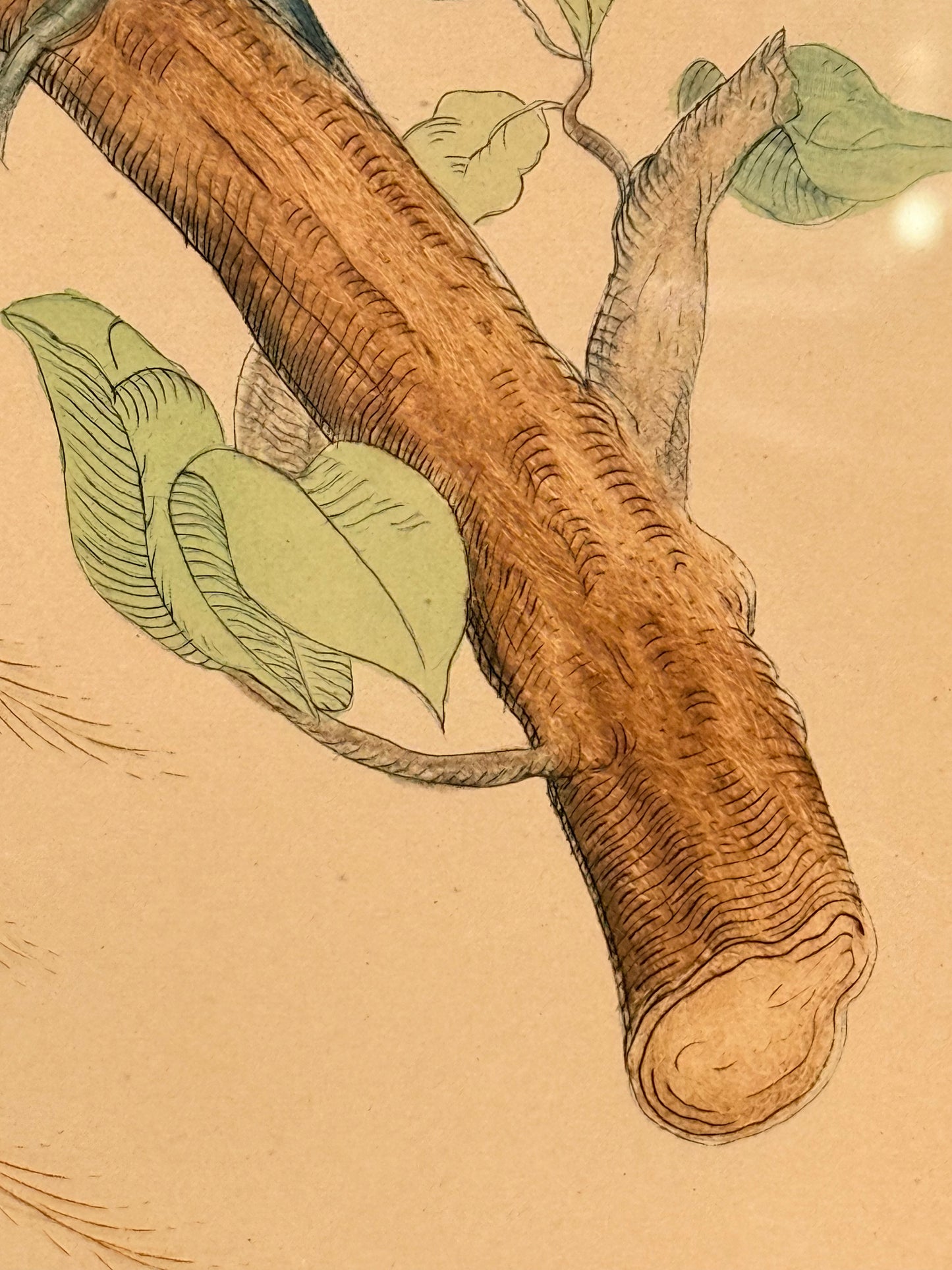 Le Paradis Rouge. Antique French copper engraving from the 19th century