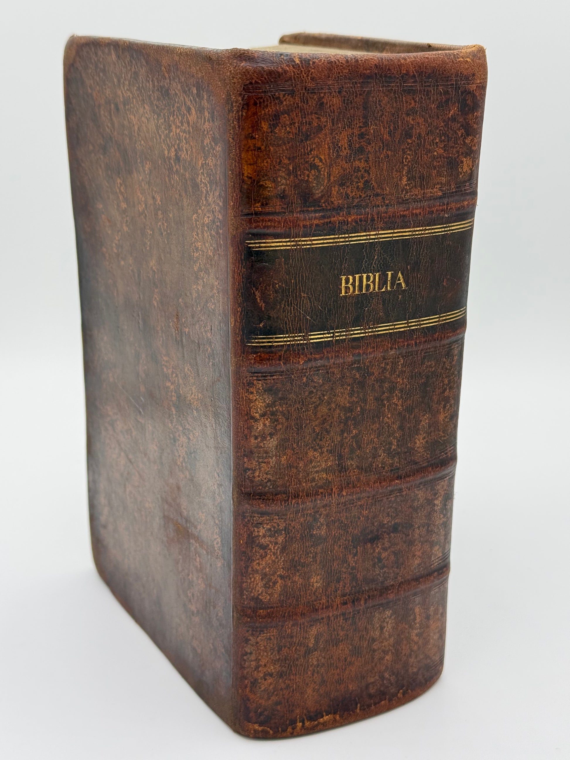 Biblia, det er den ganske Hell. Skrifts Bøger, efter en 1699. Udgangne huus og rejse bibel. Fra 1777