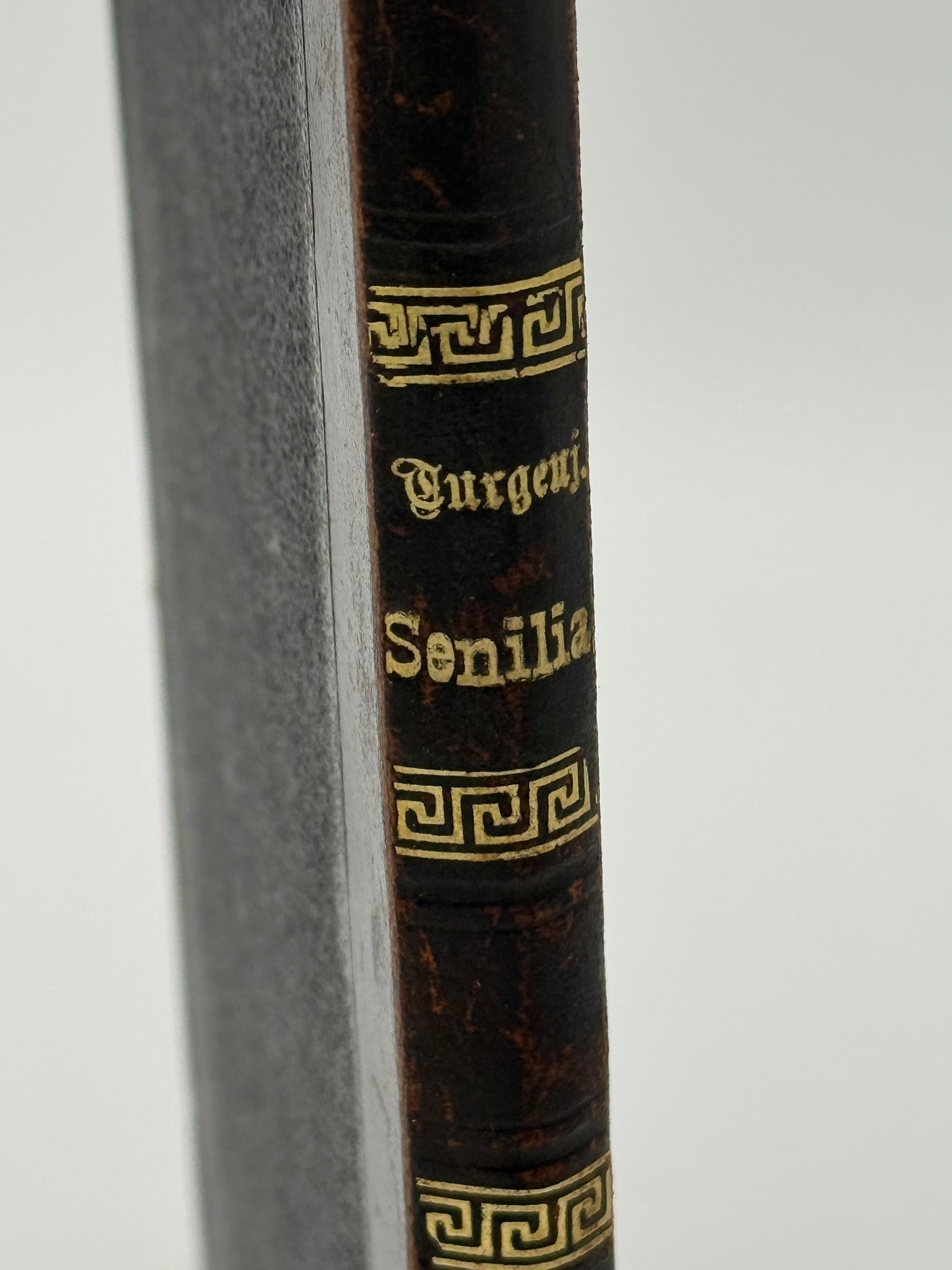 Senilia. Af Iwan Turgenjew. Antikvarisk dansk bog. 1.Udgave. 1.Oplag. Fra 1888