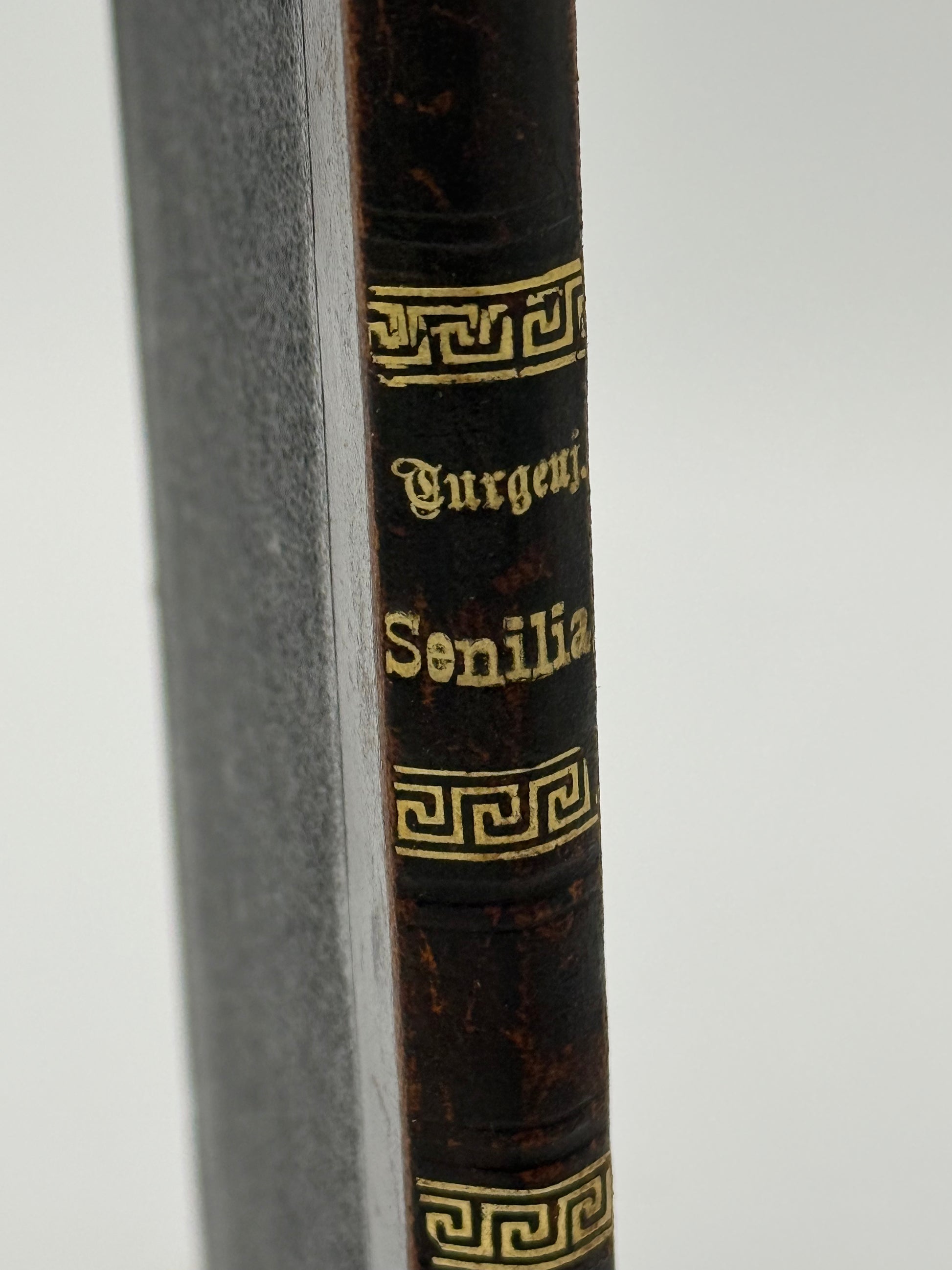 Senilia. Af Iwan Turgenjew. Antikvarisk dansk bog. 1.Udgave. 1.Oplag. Fra 1888