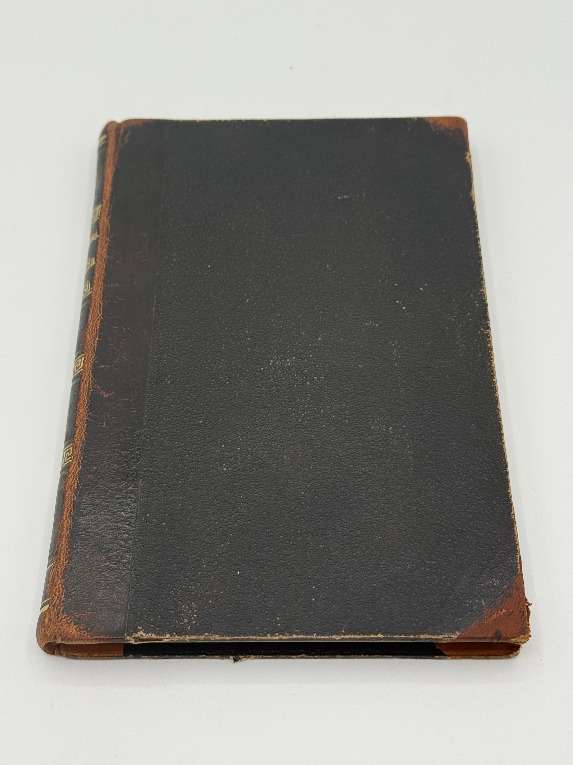 Senilia. Af Iwan Turgenjew. Antikvarisk dansk bog. 1.Udgave. 1.Oplag. Fra 1888