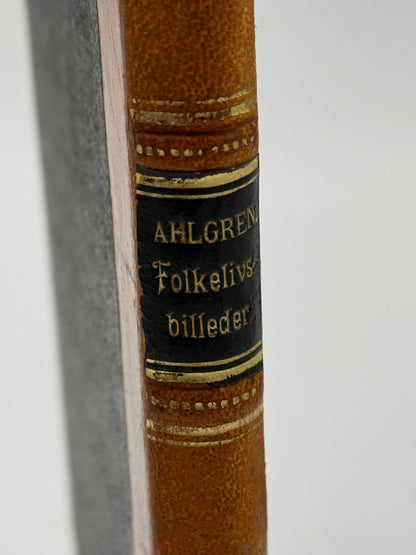 Folkelivsbilleder. Af Ernst Uhlgren. Antikvarisk dansk bog. 1.Udgave. 1.Oplag. Fra 1888