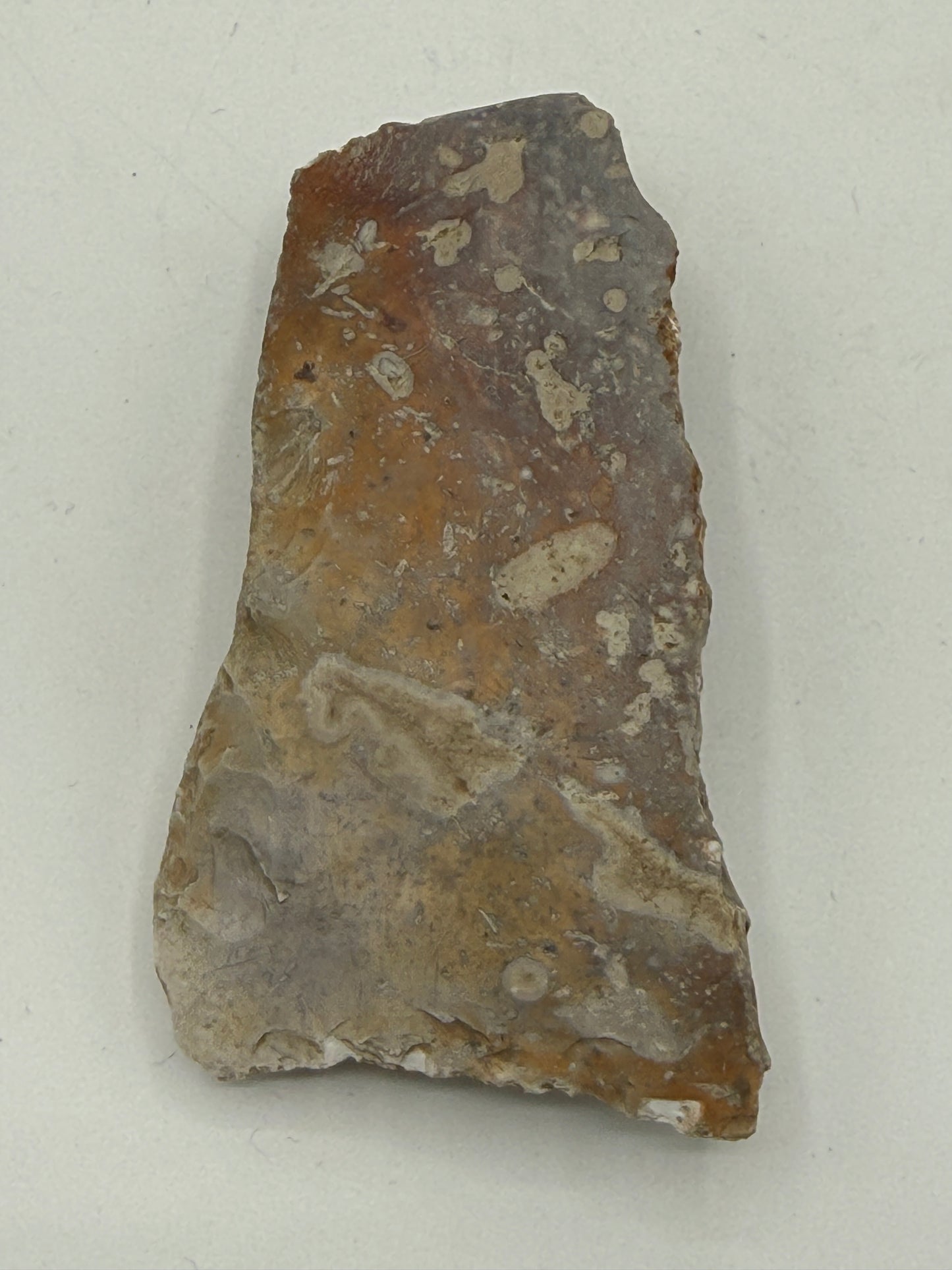 Dansk Stenalder. Asymmetrisk skiveøkse i flint. Sen Ertebølletid: 4500-3900 F.Kr