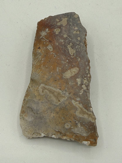 Dansk Stenalder. Asymmetrisk skiveøkse i flint. Sen Ertebølletid: 4500-3900 F.Kr