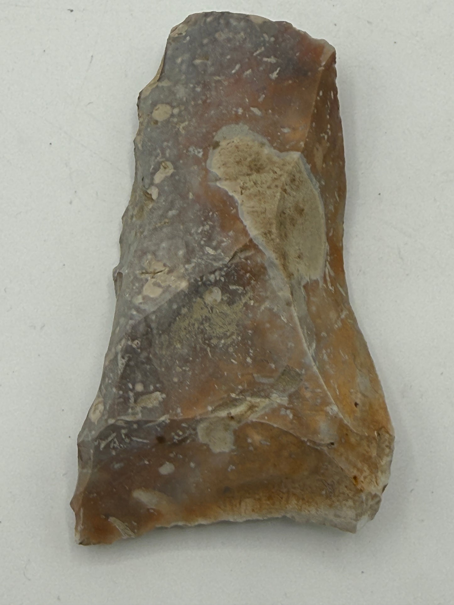 Dansk Stenalder. Asymmetrisk skiveøkse i flint. Sen Ertebølletid: 4500-3900 F.Kr