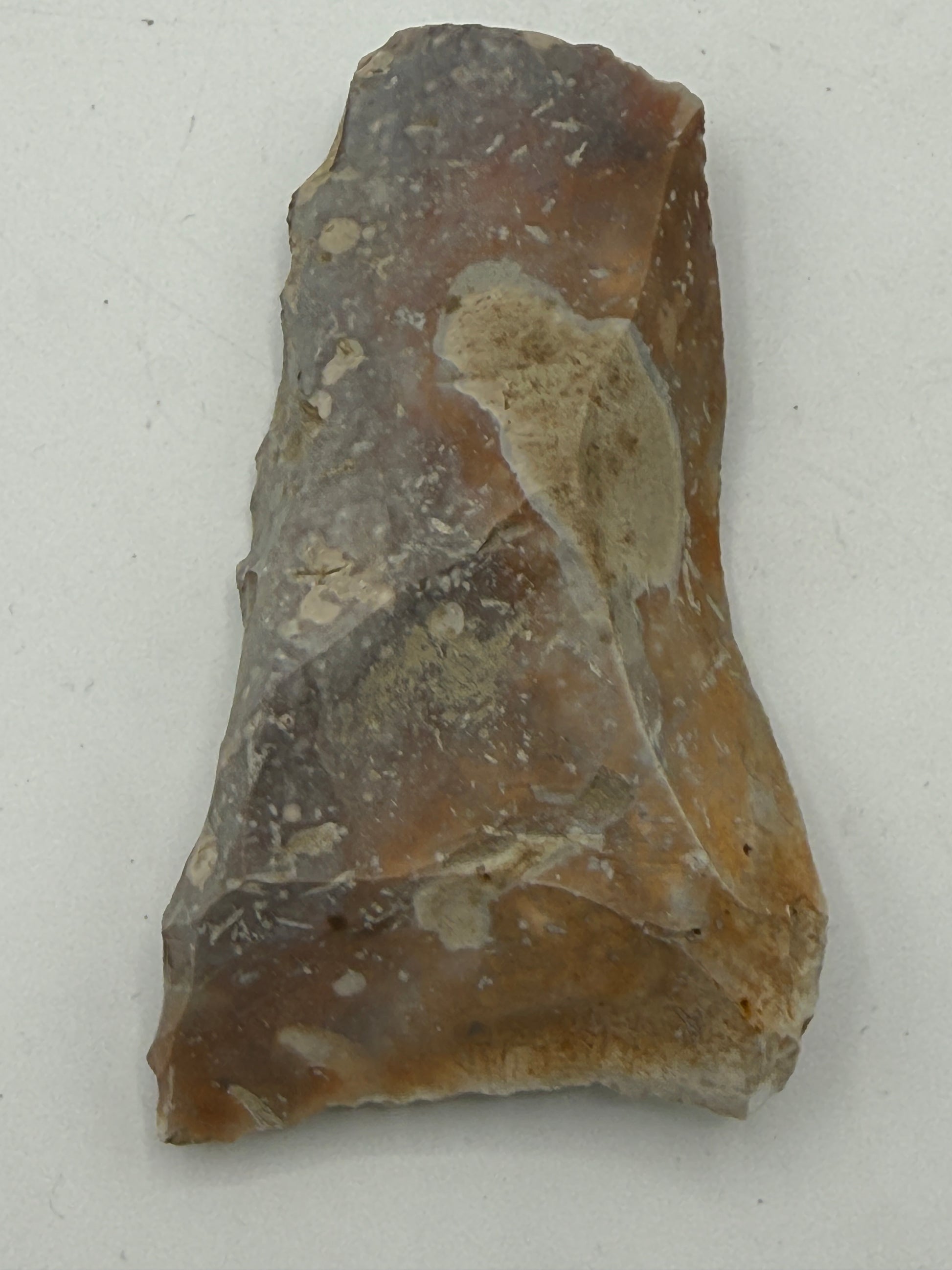 Dansk Stenalder. Asymmetrisk skiveøkse i flint. Sen Ertebølletid: 4500-3900 F.Kr