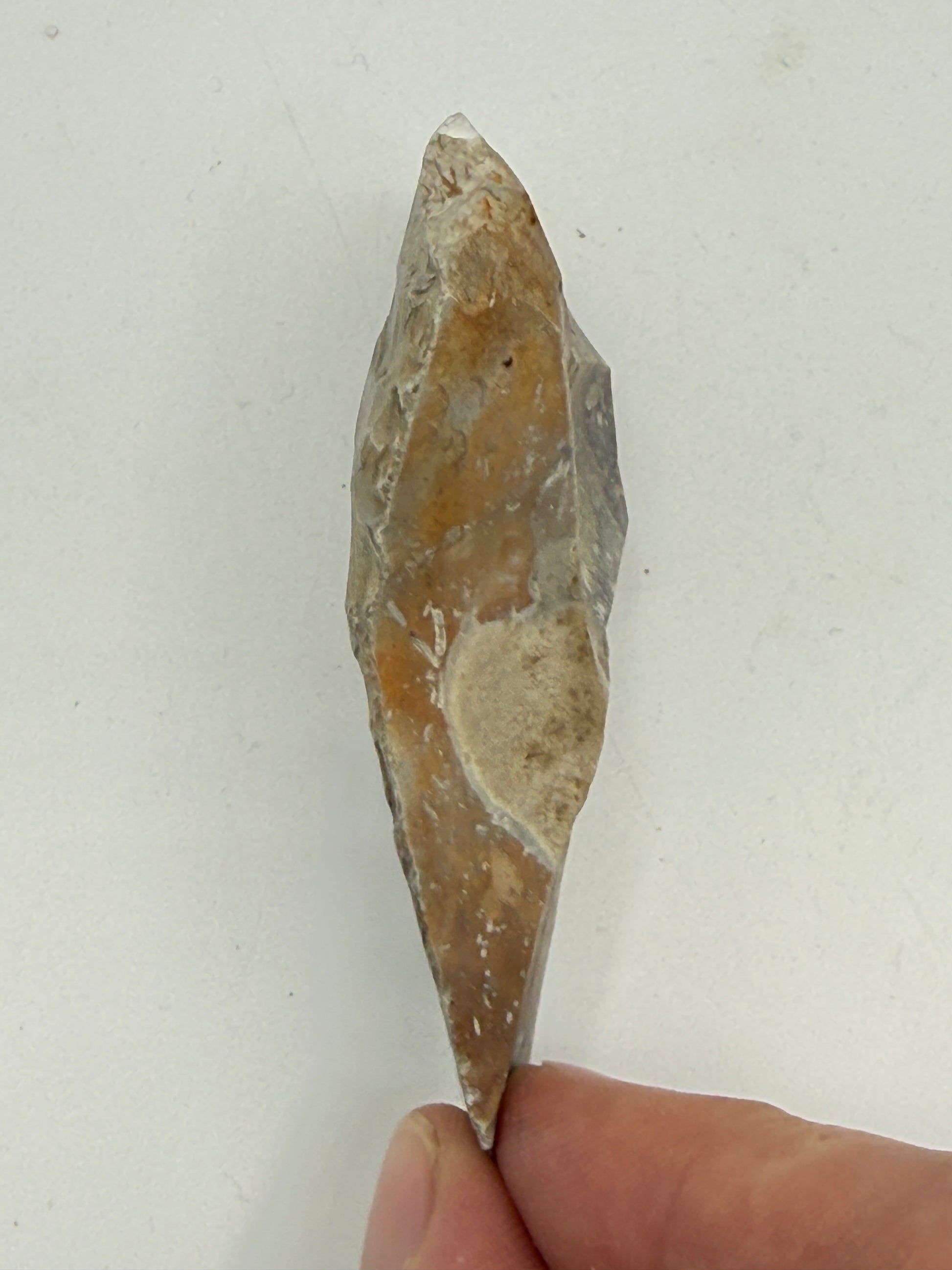 Dansk Stenalder. Asymmetrisk skiveøkse i flint. Sen Ertebølletid: 4500-3900 F.Kr