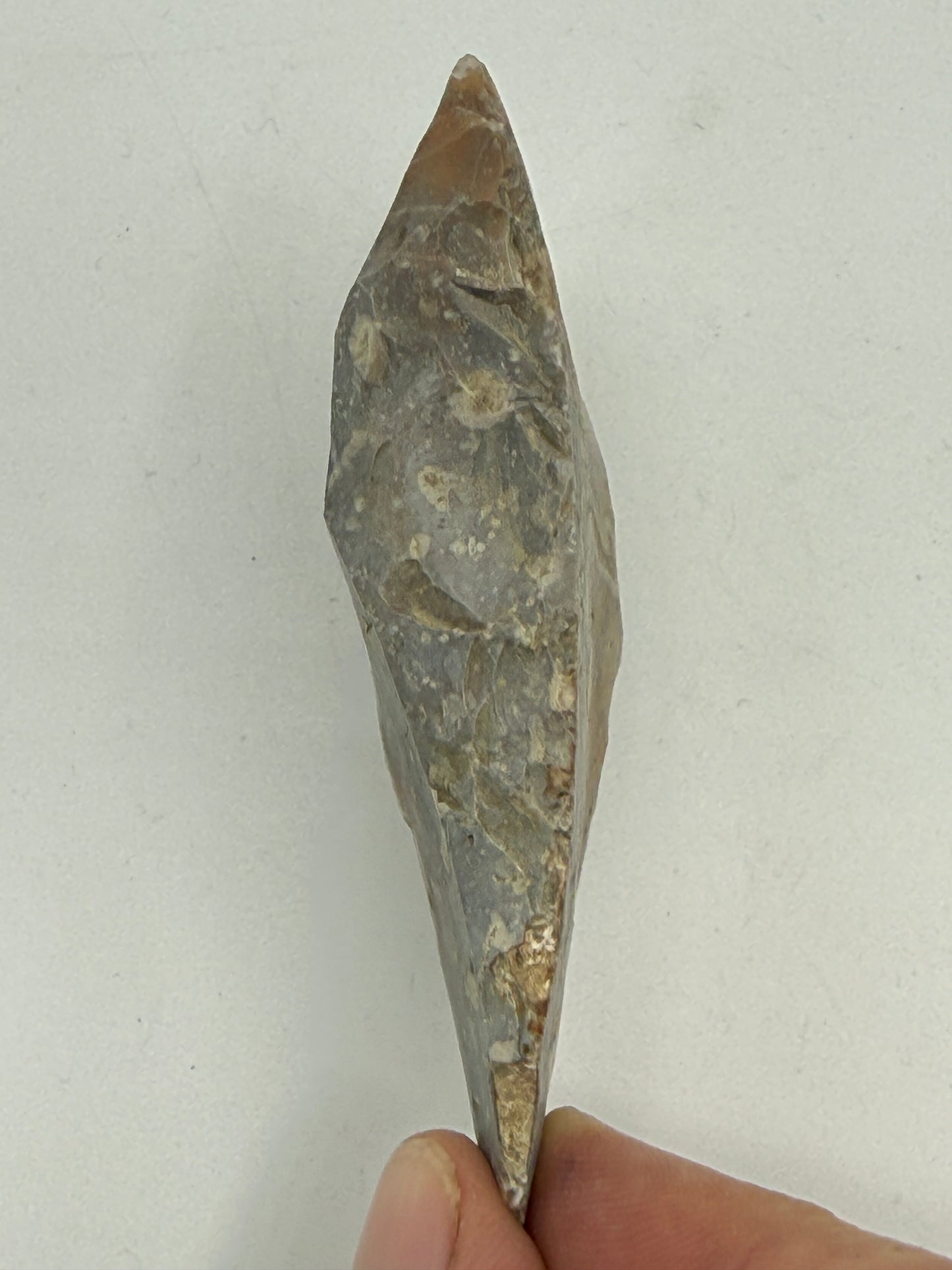 Dansk Stenalder. Asymmetrisk skiveøkse i flint. Sen Ertebølletid: 4500-3900 F.Kr