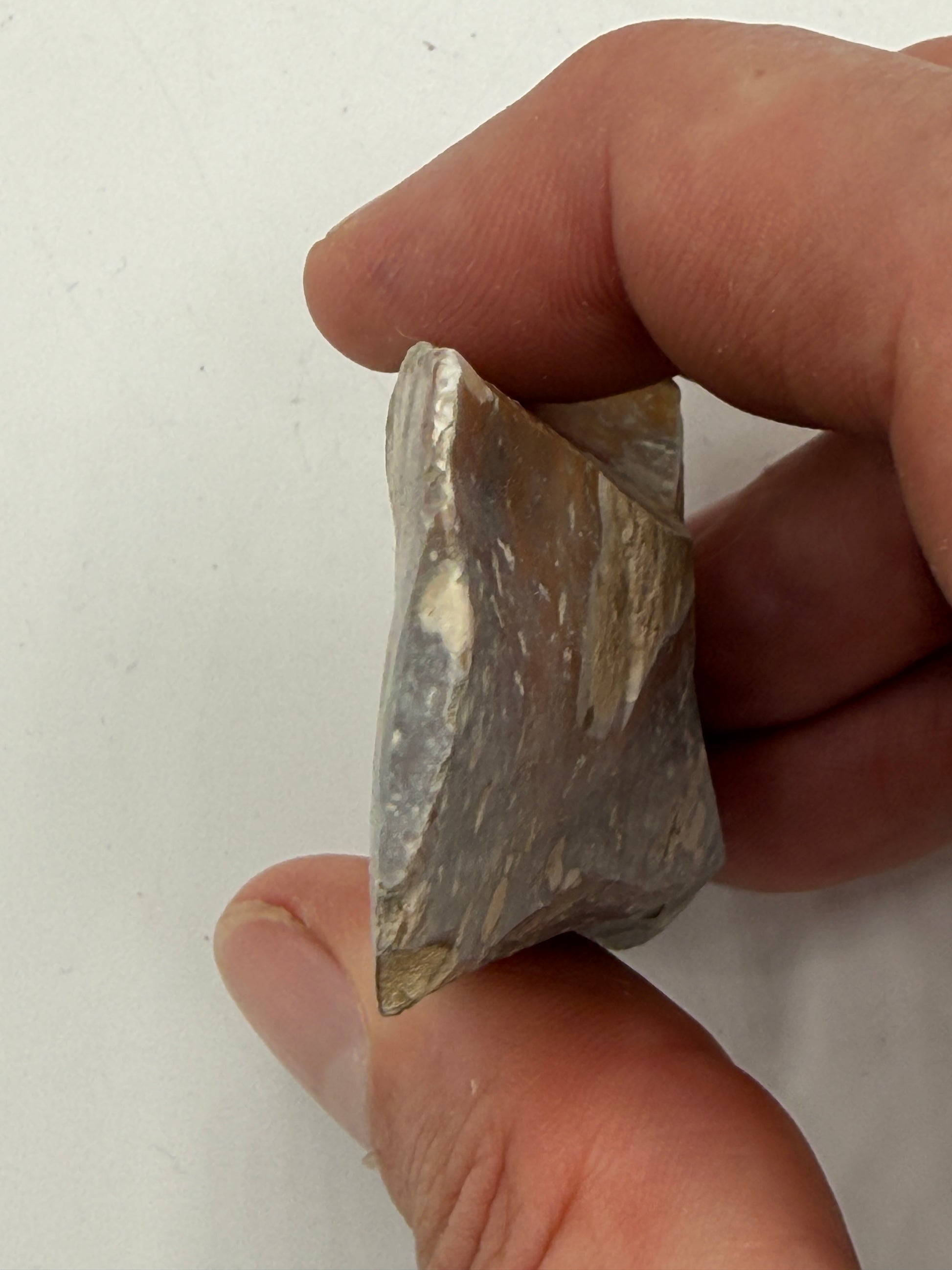 Dansk Stenalder. Asymmetrisk skiveøkse i flint. Sen Ertebølletid: 4500-3900 F.Kr