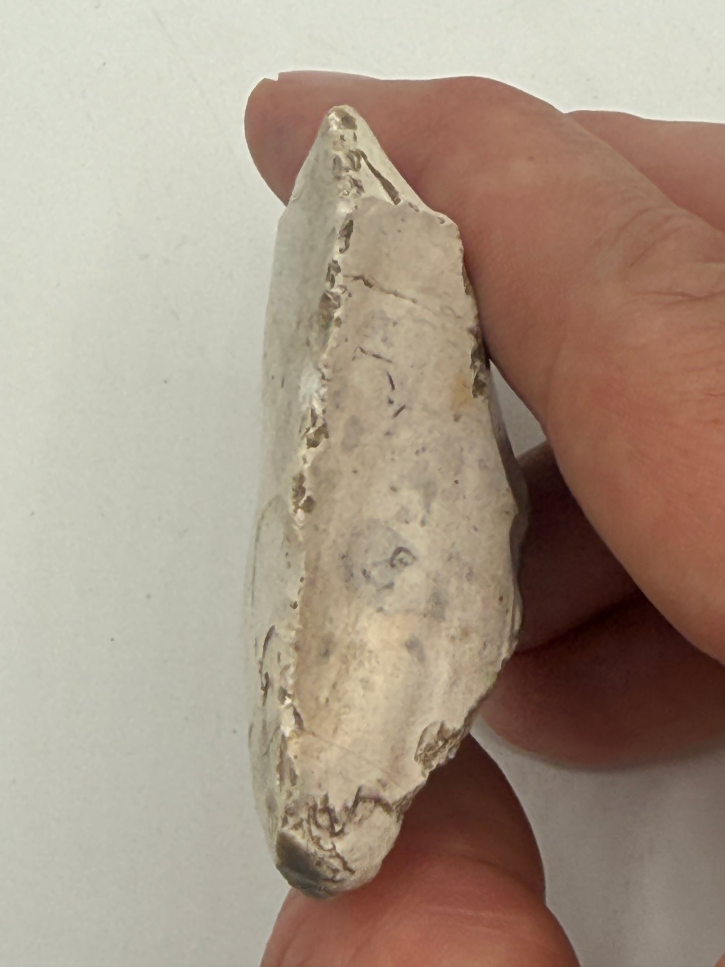 Dansk Stenalder. Asymmetrisk skiveøkse i flint. Sen Ertebølletid: 4500-3900 F.Kr