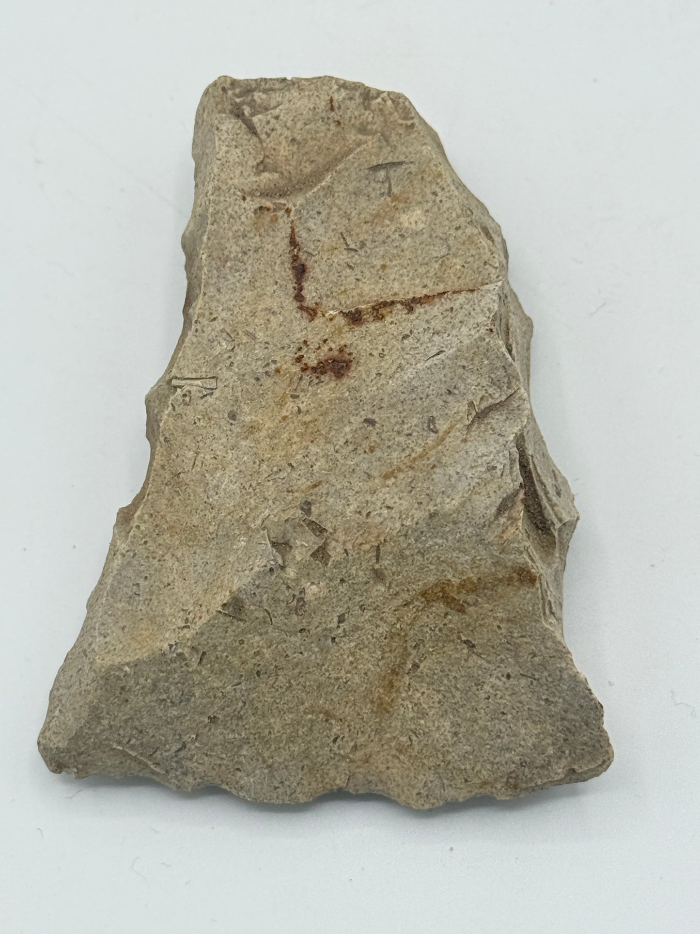 Dansk Stenalder. Asymmetrisk skiveøkse i flint. Sen Ertebølletid: 4500-3900 F.Kr