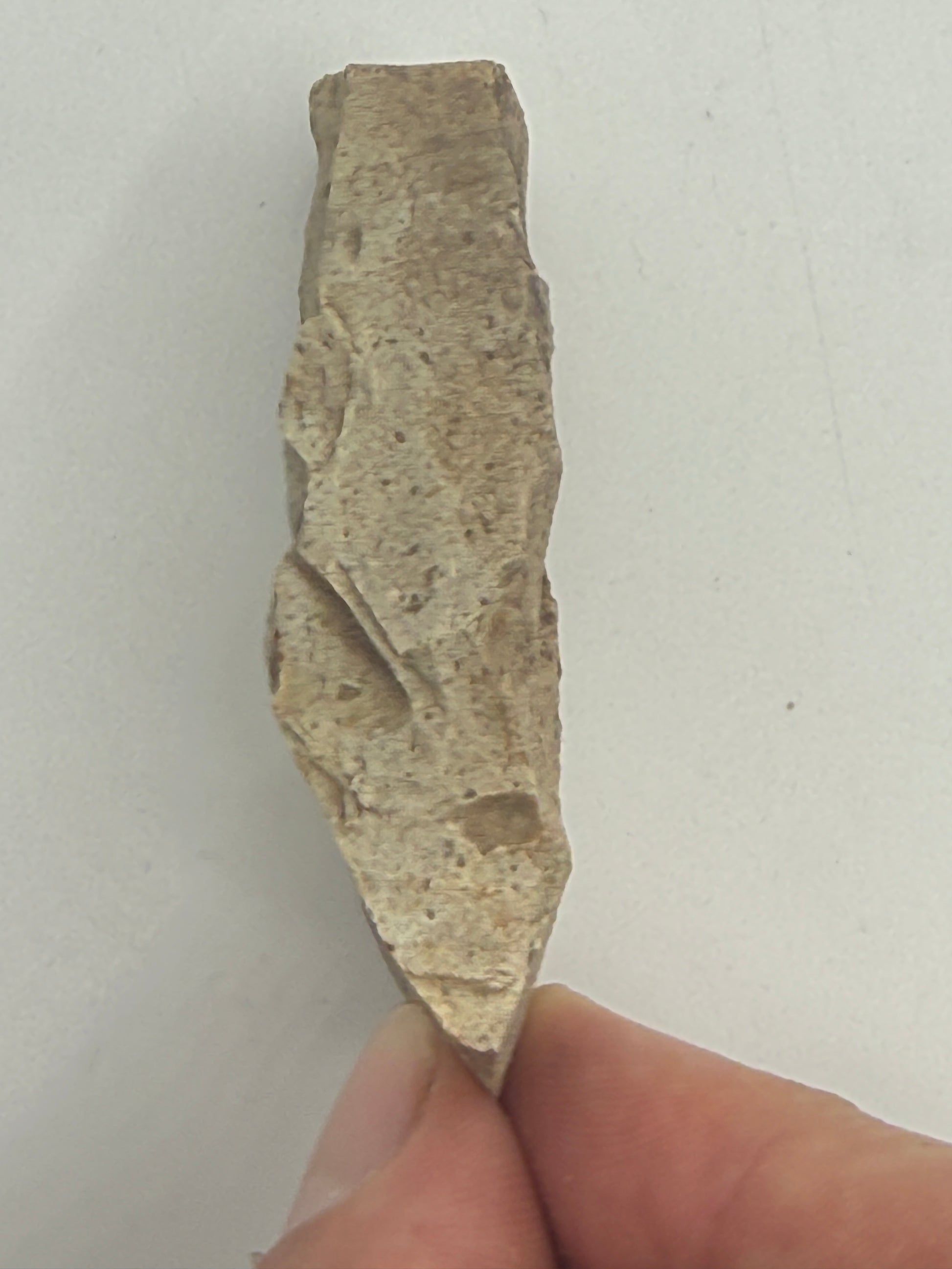 Dansk Stenalder. Asymmetrisk skiveøkse i flint. Sen Ertebølletid: 4500-3900 F.Kr