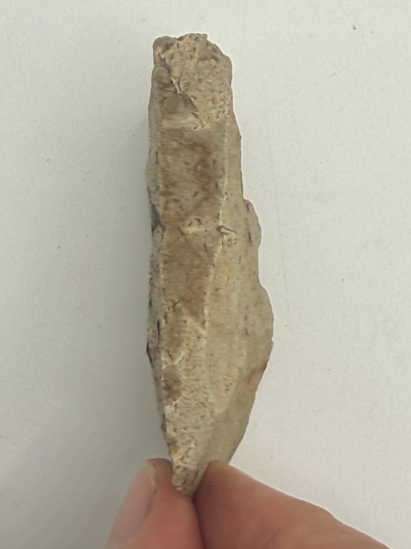 Dansk Stenalder. Asymmetrisk skiveøkse i flint. Sen Ertebølletid: 4500-3900 F.Kr