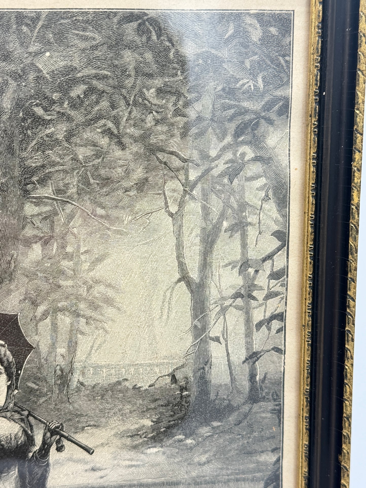 Et vintage træsnitsgravering fra 1896, der viser en skov med træer og en person, der står i midten af billedet. Graveringen er gjo