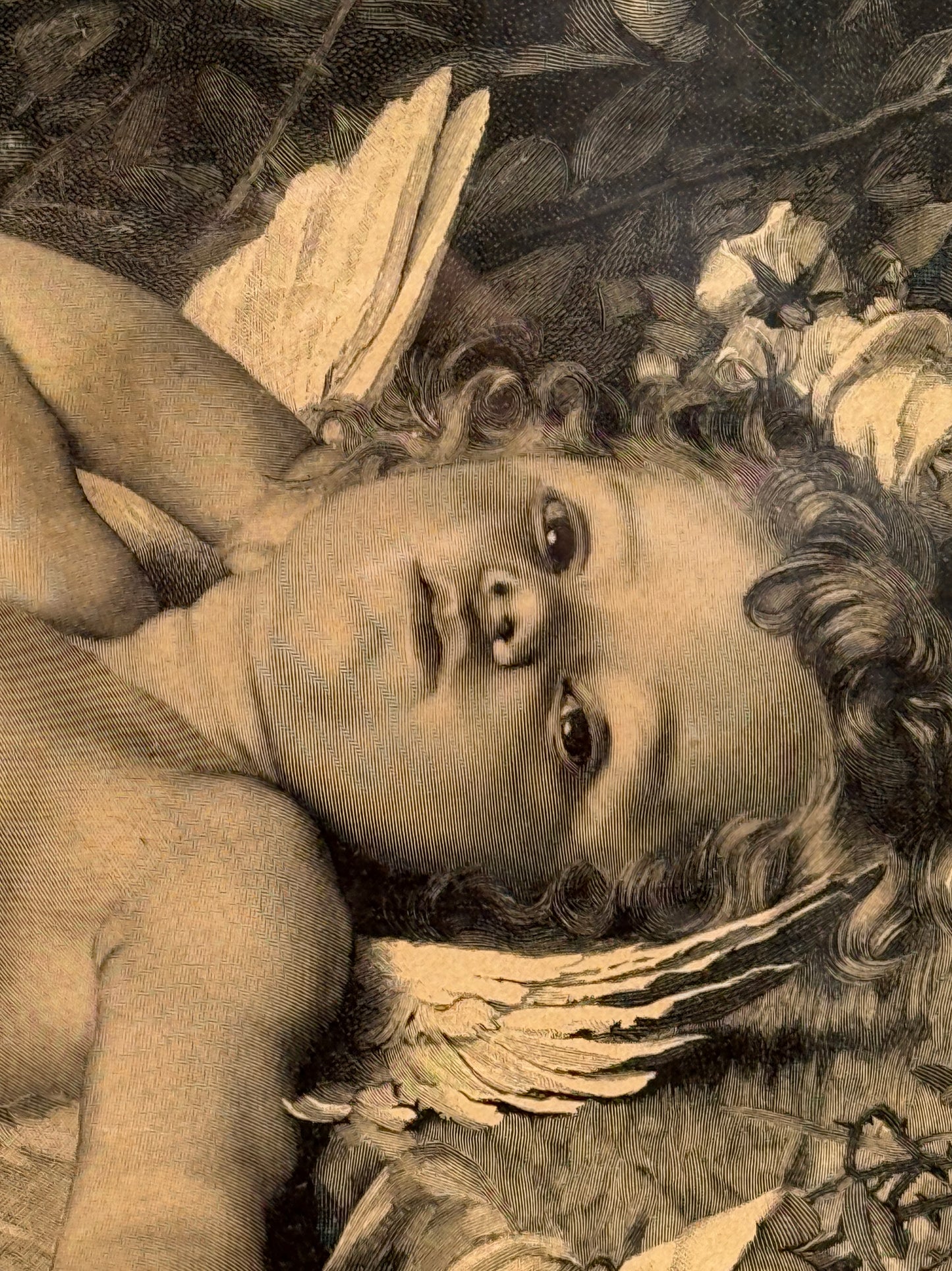 Amor Vaagner. Antik dansk træsnitsgravering. Fra 1896