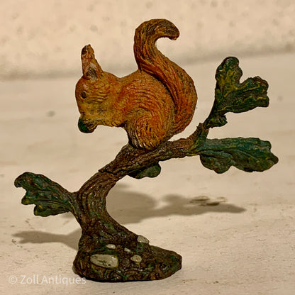 Lineol, squirrel on small tree.