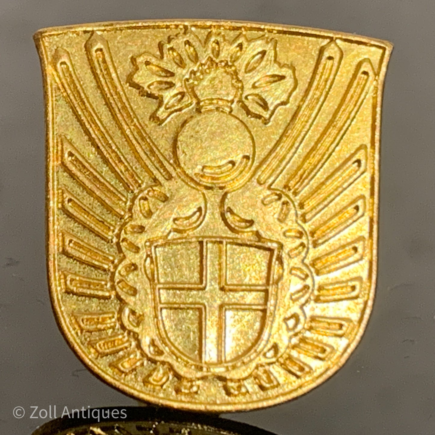 Emblem of the Civil Defense.