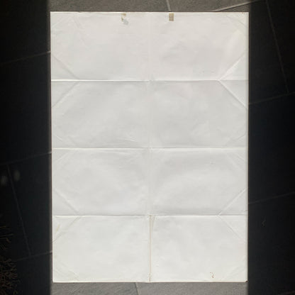 Original dansk Sheriffens værste job John Wayne film plakat fra 1973