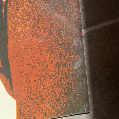 Original dansk Sheriffens værste job John Wayne film plakat fra 1973