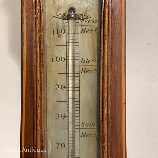 Antik irsk banjo maghoni barometer med thermometer, fra start 1800 tallet