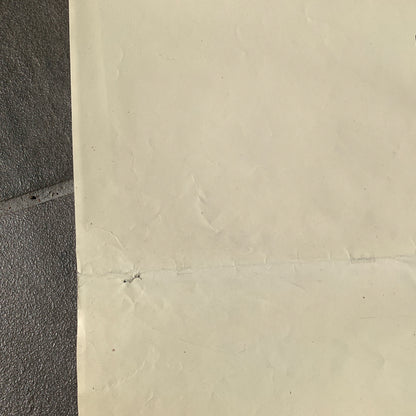 Original dansk Sheriffens værste job John Wayne film plakat fra 1973