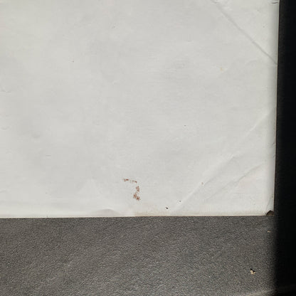 Original dansk Sheriffens værste job John Wayne film plakat fra 1973