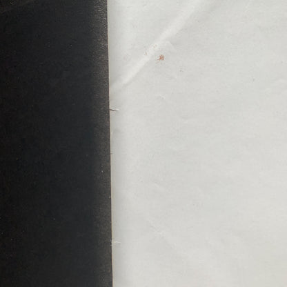 Original dansk Sheriffens værste job John Wayne film plakat fra 1973